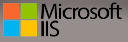 Microsoft Internet Information Services logo (for illustrative purposes only)